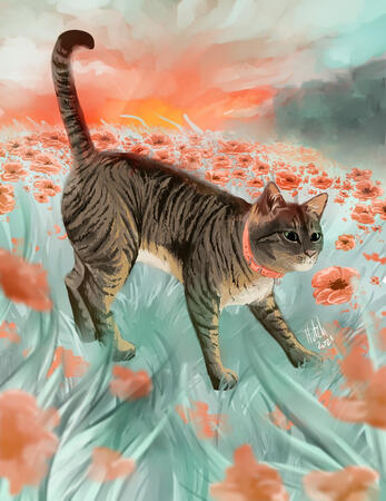 a brown tabby cat with a peach colored collar walks through a field of peach colored flowers as the sun rises