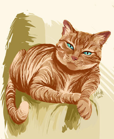 an orange tabby cat, sitting languidly on the edge of a couch armrest